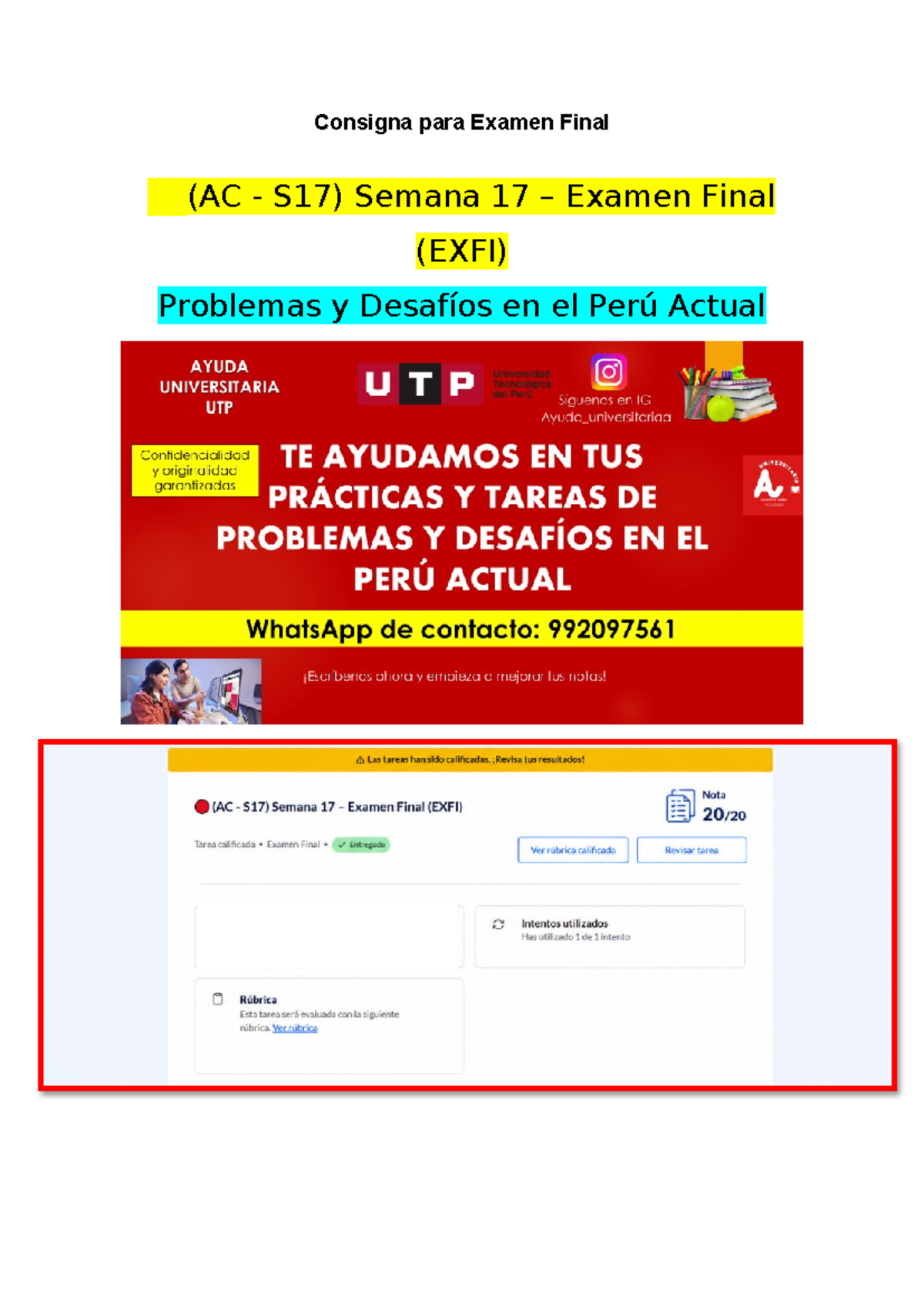 🔴(AC - S17) Semana 17 – Examen Final (EXFI) - Problemas y Desafíos en el Perú - Document Preview