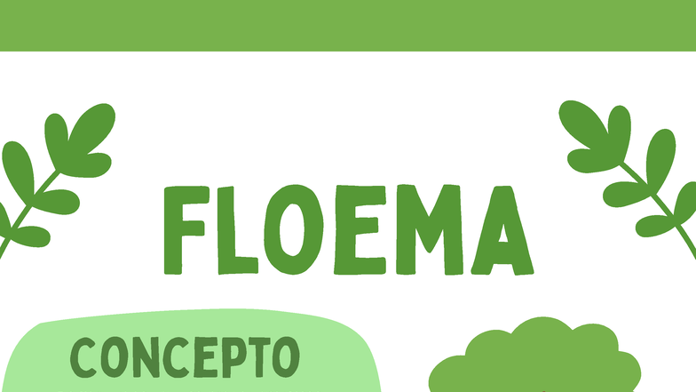 Infografía sobre el Floema en Biología - Studocu