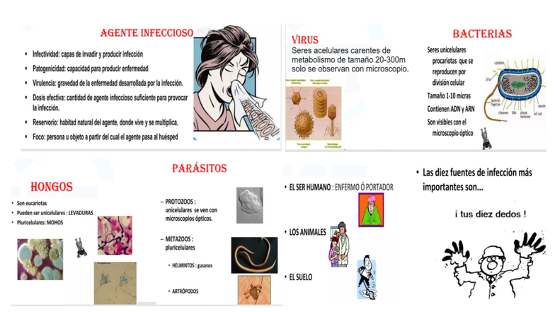 AGENTE INFECCIOSO: BACTERIAS Y VIRUS - Notas de Clase - Studocu