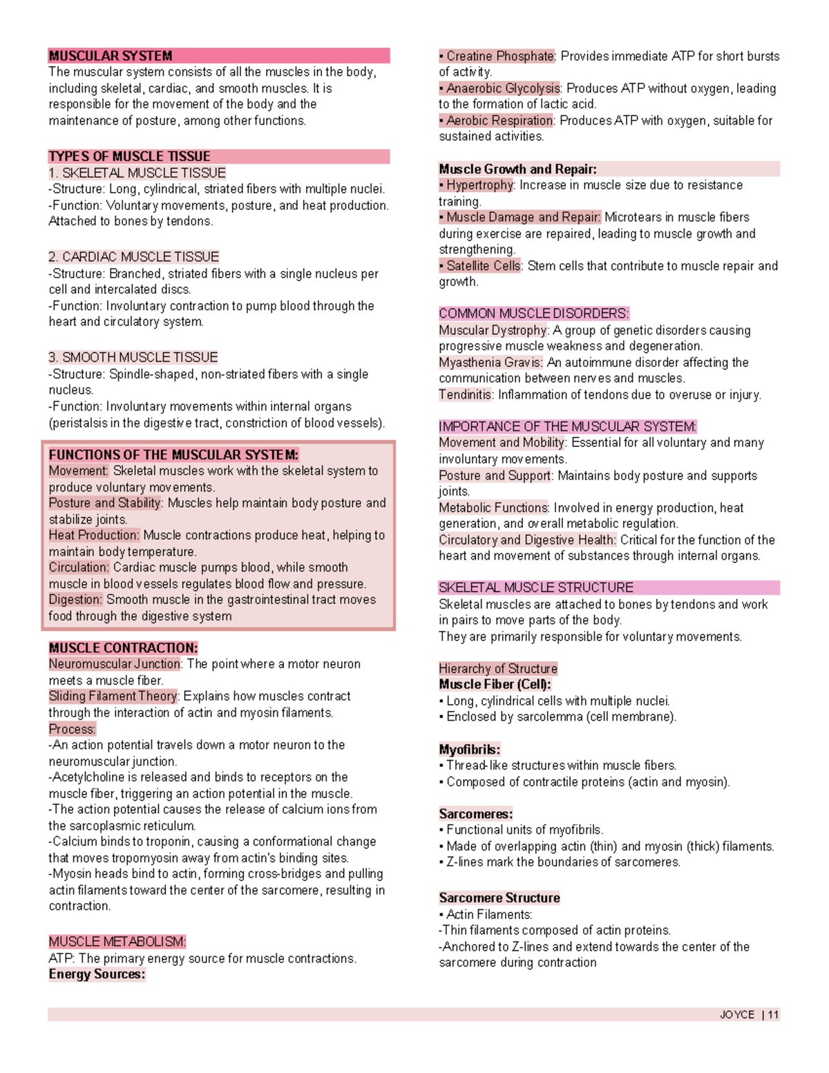 MUSC 101: Comprehensive Overview of the Muscular System - Studocu