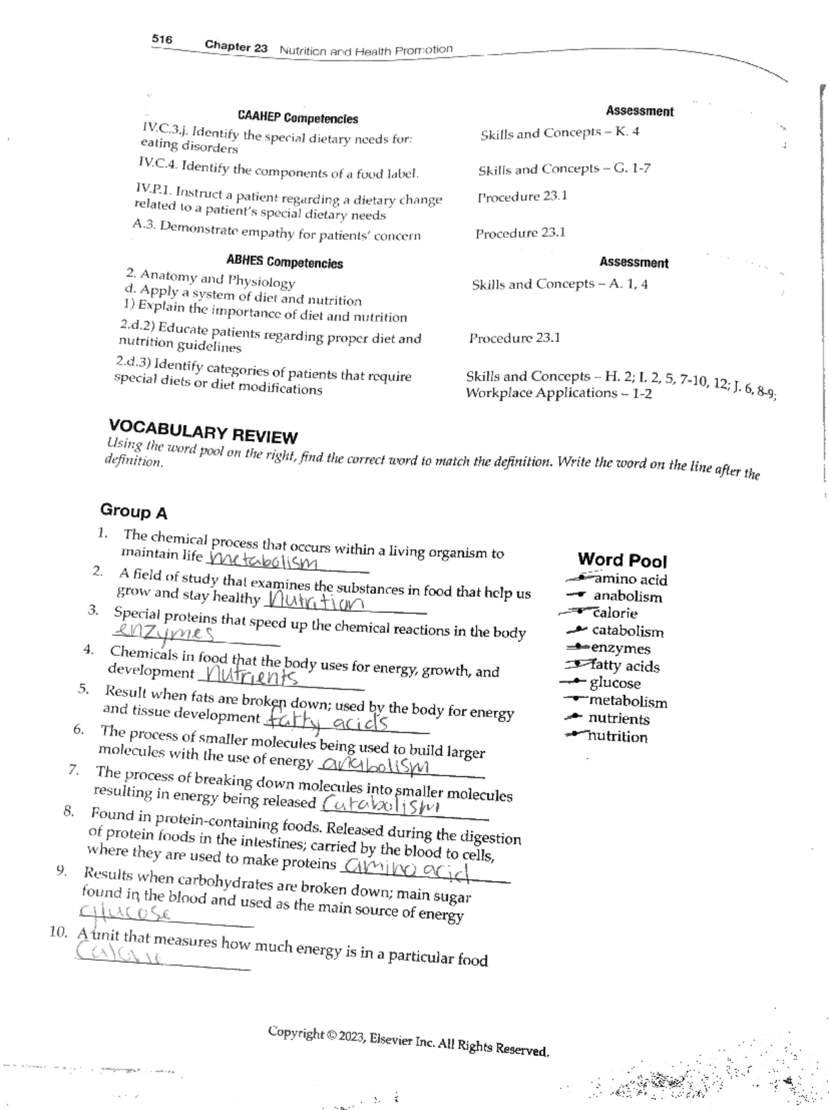 Chapter 23: Book Work Review and Analysis - Studocu