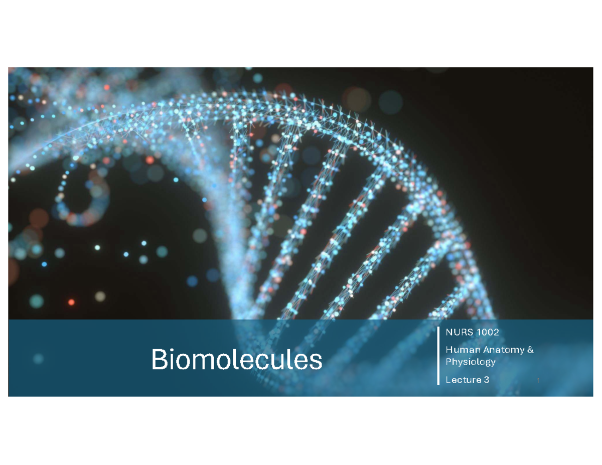 NURS 1002 Lecture 3: Biomolecules Overview - Studocu