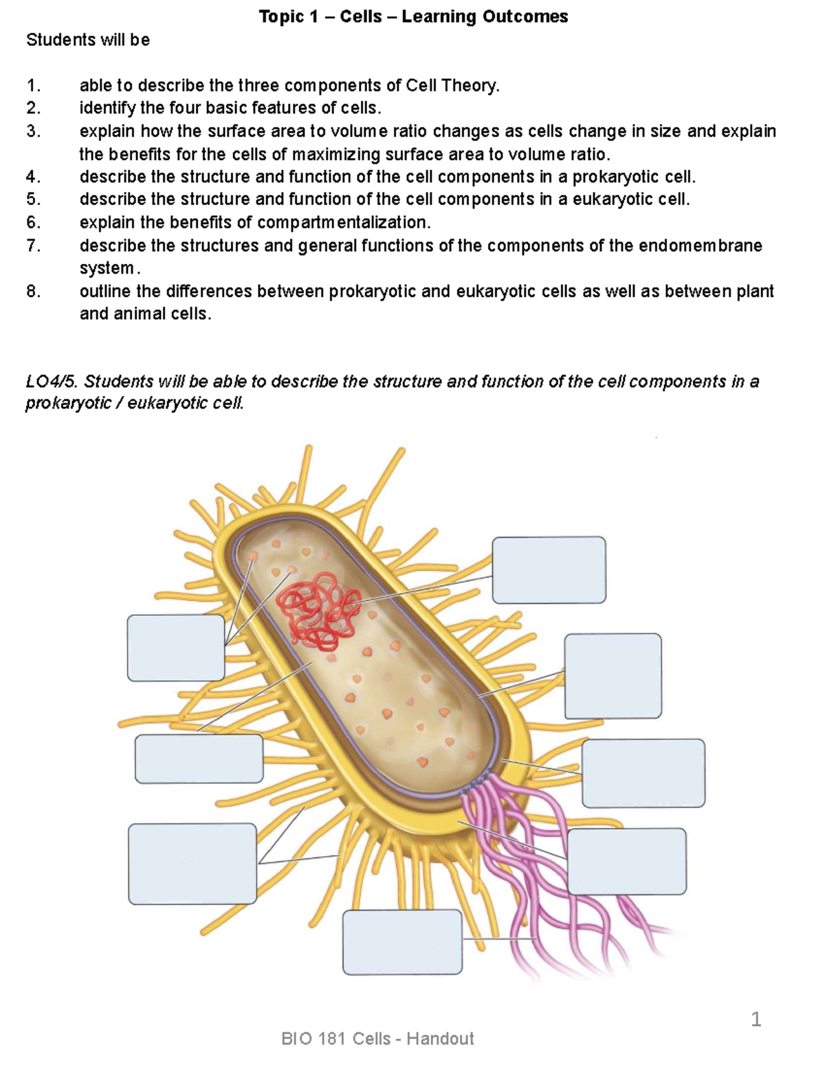 Cells (BIO101) - Structure & Function Handout Notes - Studocu