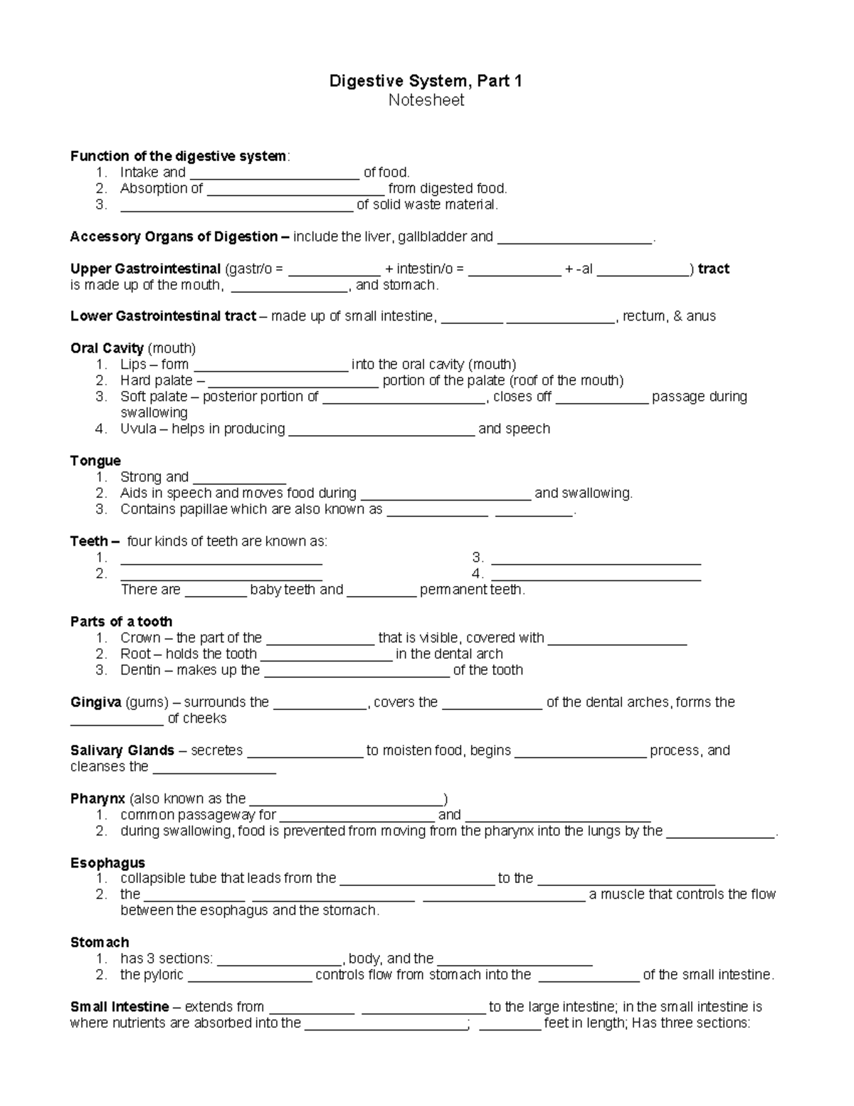 22 Digestive System, part 1 notesheet - Digestive System, Part 1 ...