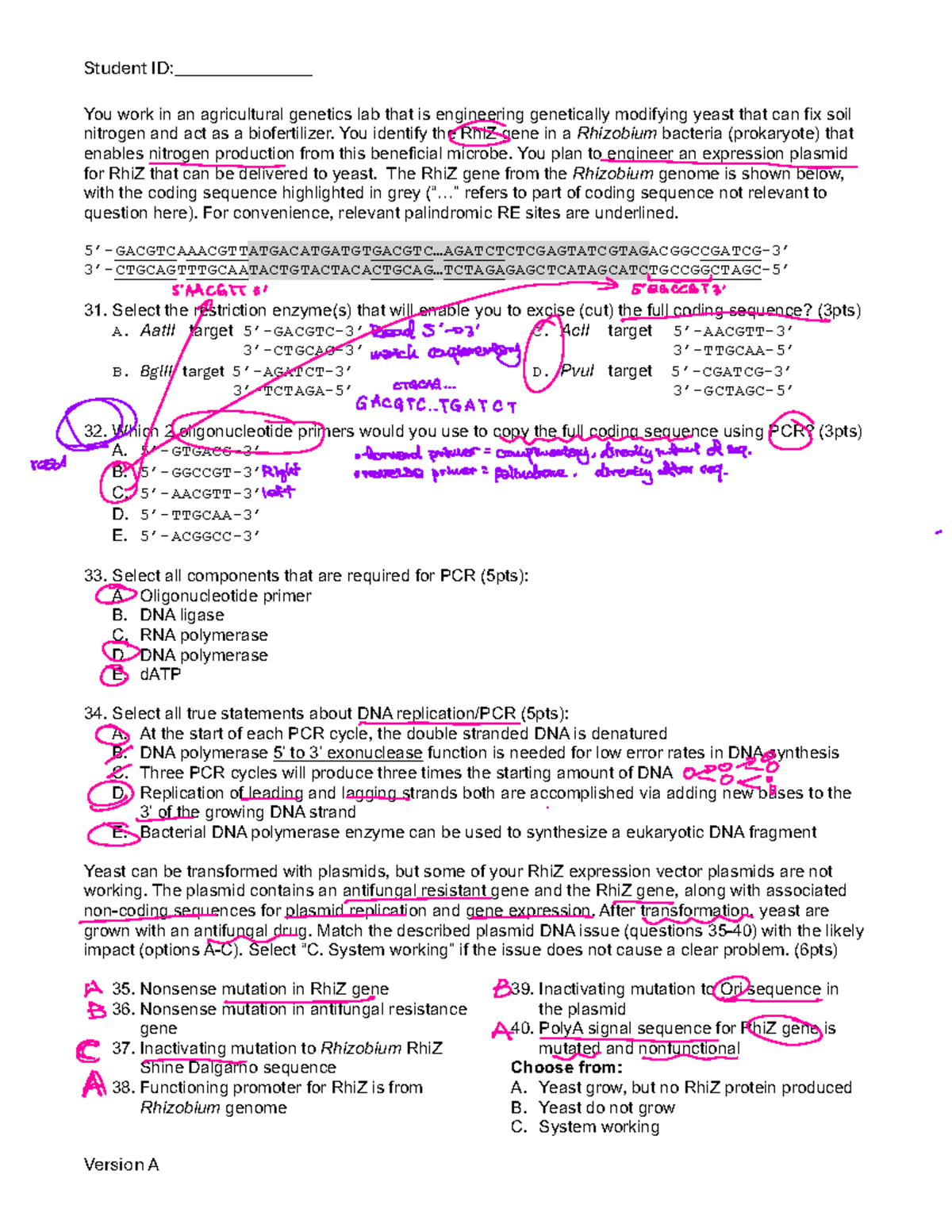 Exam 2 Study Guide: Agricultural Genetics &amp; KIT Gene Mutations - Studocu