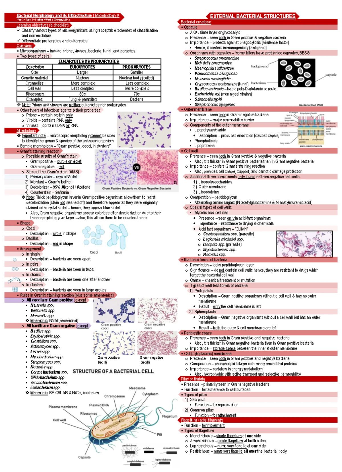 CH29: Key Characteristics & Taxonomy of Viruses in Virology - Studocu