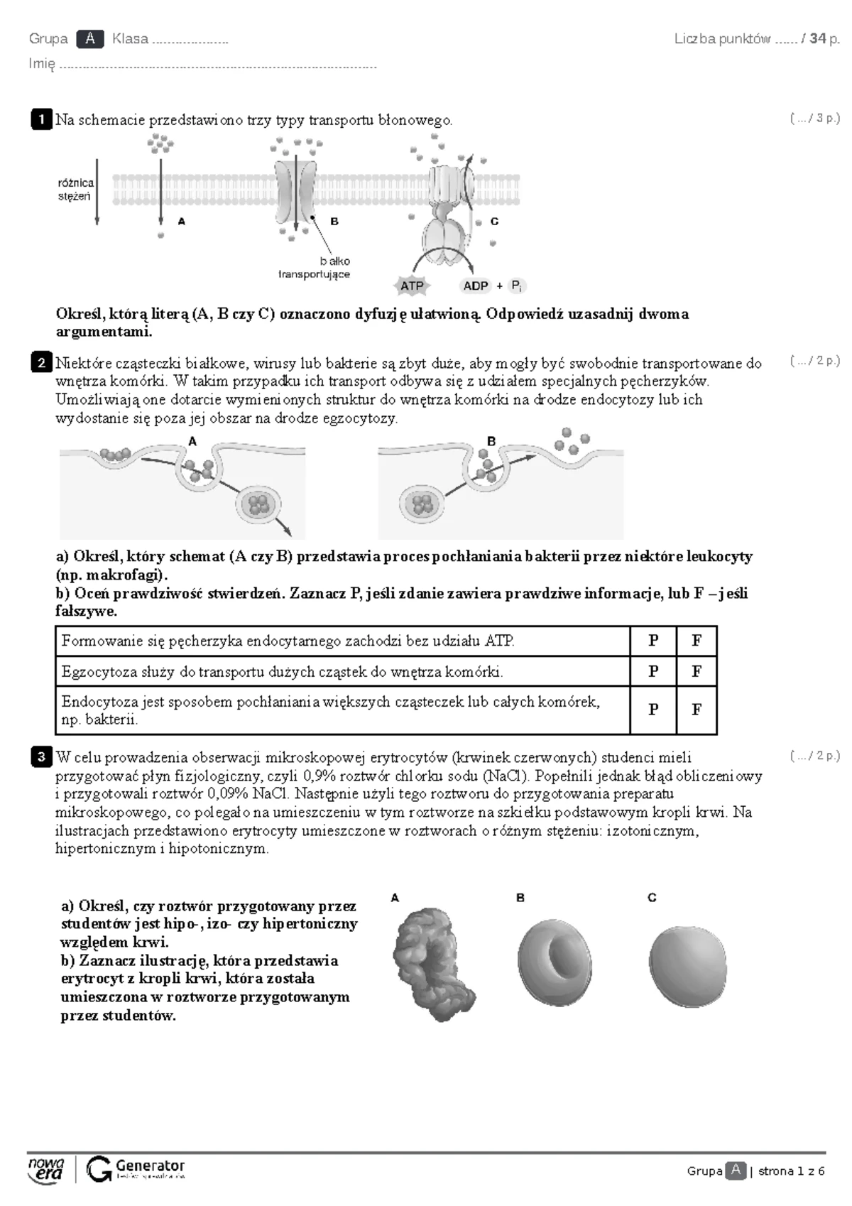 Lalka Sprawdzian Nowa Era Chomikuj www.studocu.com
