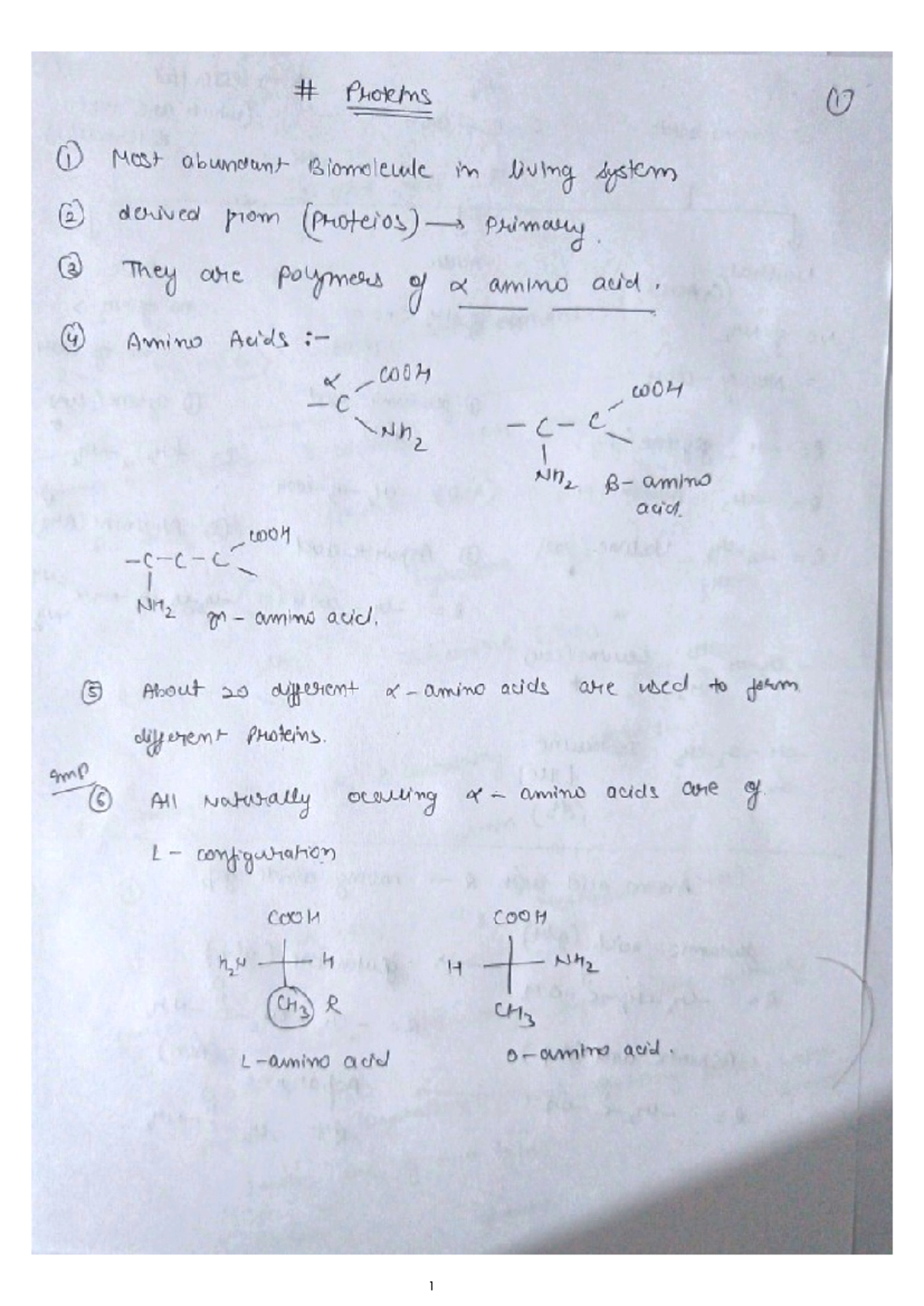 Protein and DNA: Comprehensive Revision Notes for Course BIO101 - Studocu