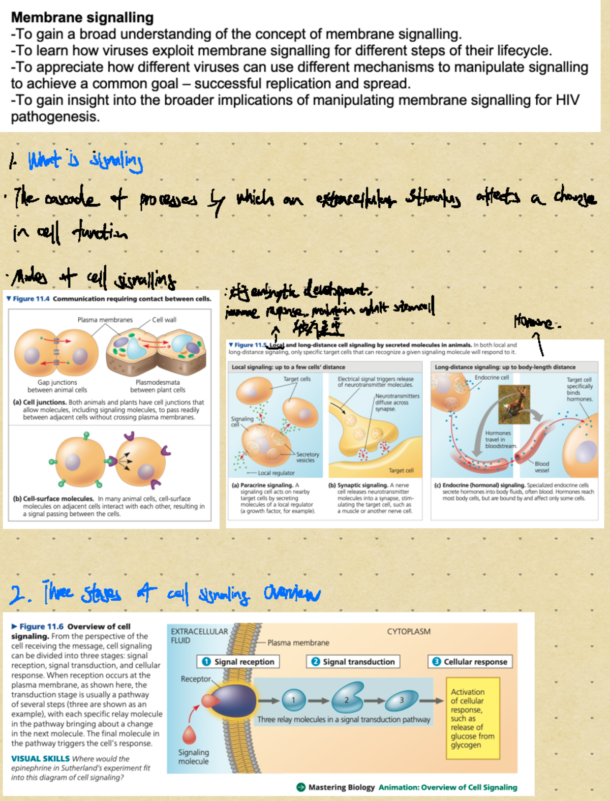 1, Membrane signalling 2 - Whatis signaling Thecascade of processes by ...