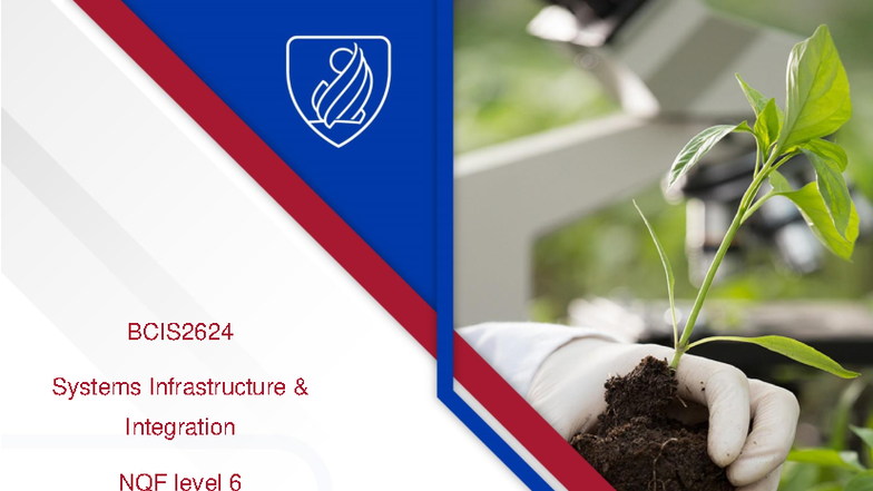 BCIS2624 Systems Infrastructure Integration Module Guide 2025 - Studocu