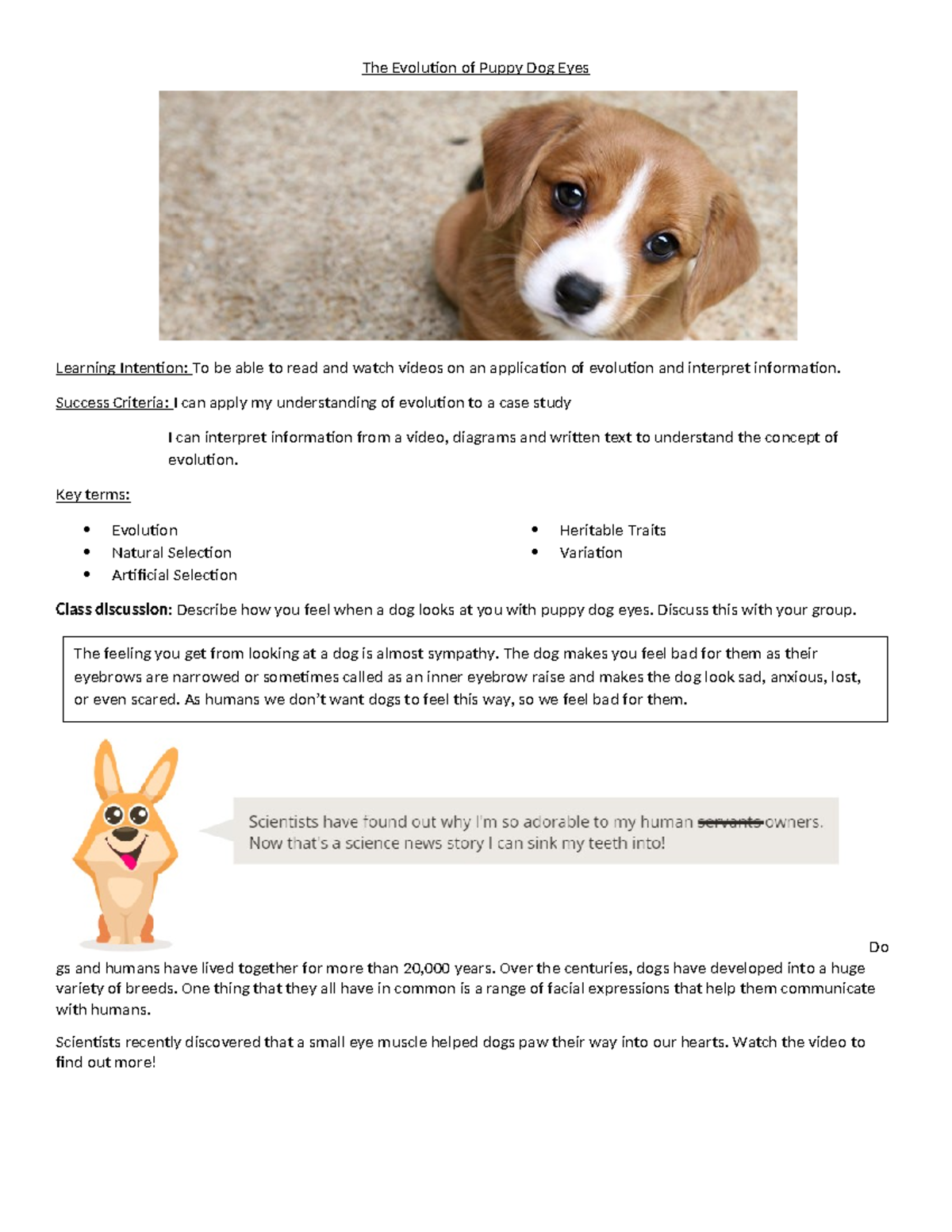 The Evolution of Puppy Dog Eyes: Understanding Canine Expressions and ...