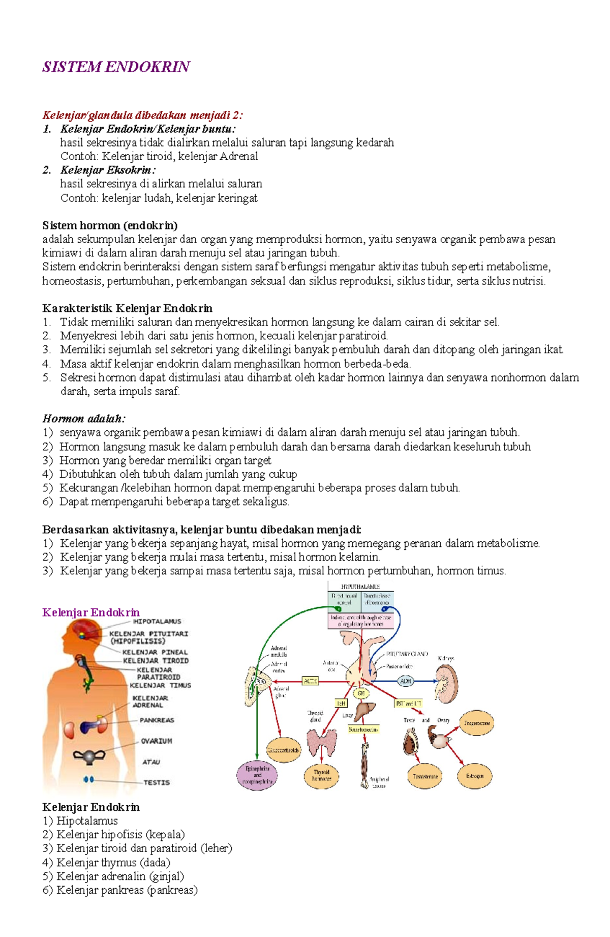 Sistem Endokrin: Kelenjar dan Fungsi Hormonal (2022) - Studocu