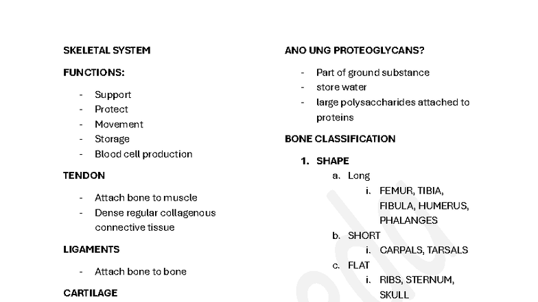 SKELETAL SYSTEM FUNCTIONS: Support, Movement, and Structure Overview ...
