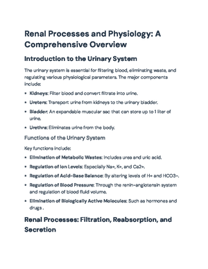 Comprehensive Guide to the Urinary System - Anatomy and Functions ...