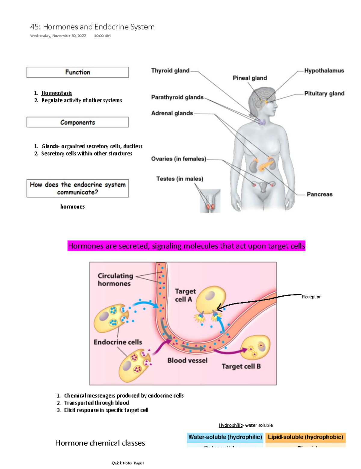 45 Hormones and Endocrine System Overview for Midterm Exam - Studocu