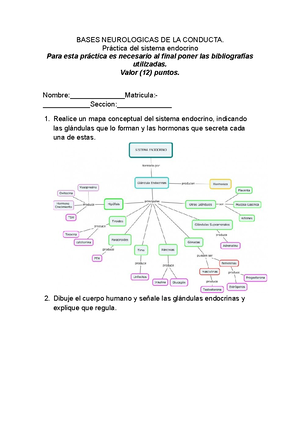 Línea de tiempo de los antecedentes históricos de la Psicobiología ...