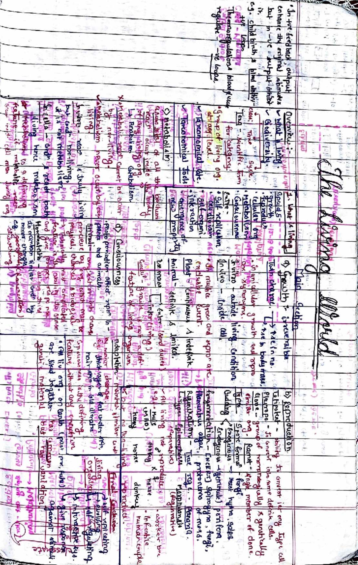 Living world BIO Short Notes - Biology HL - r ...