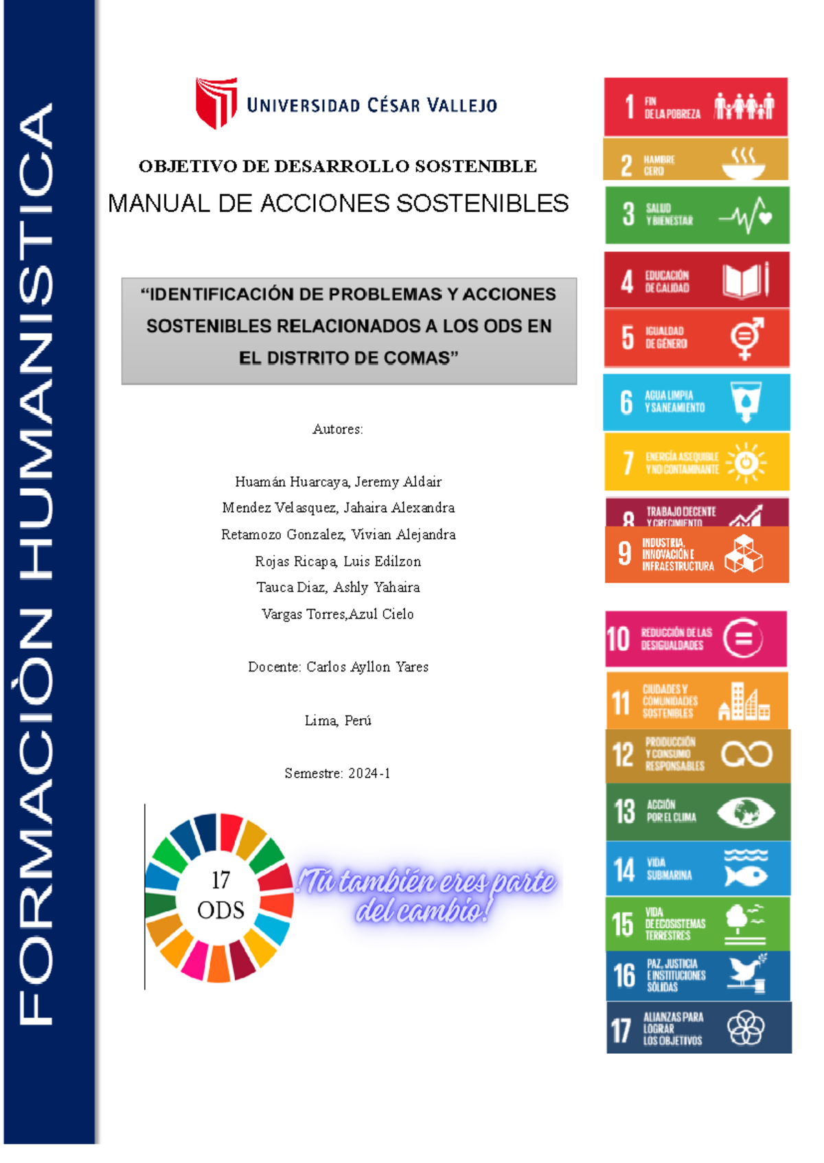 Manual de Acciones Sostenibles: Estrategias para el ODS en Comas 2024 ...