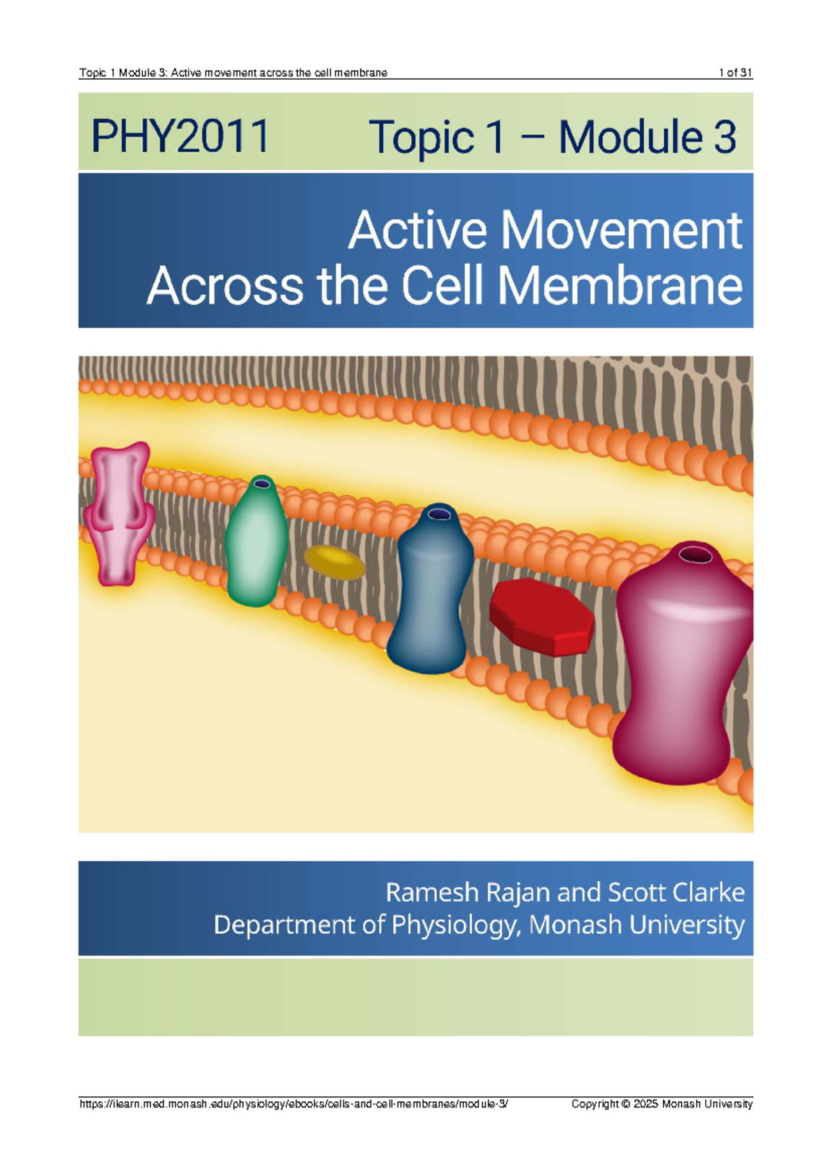 Topic 1, l3 - module notes - Topic 1 Module 3: Active movement across ...