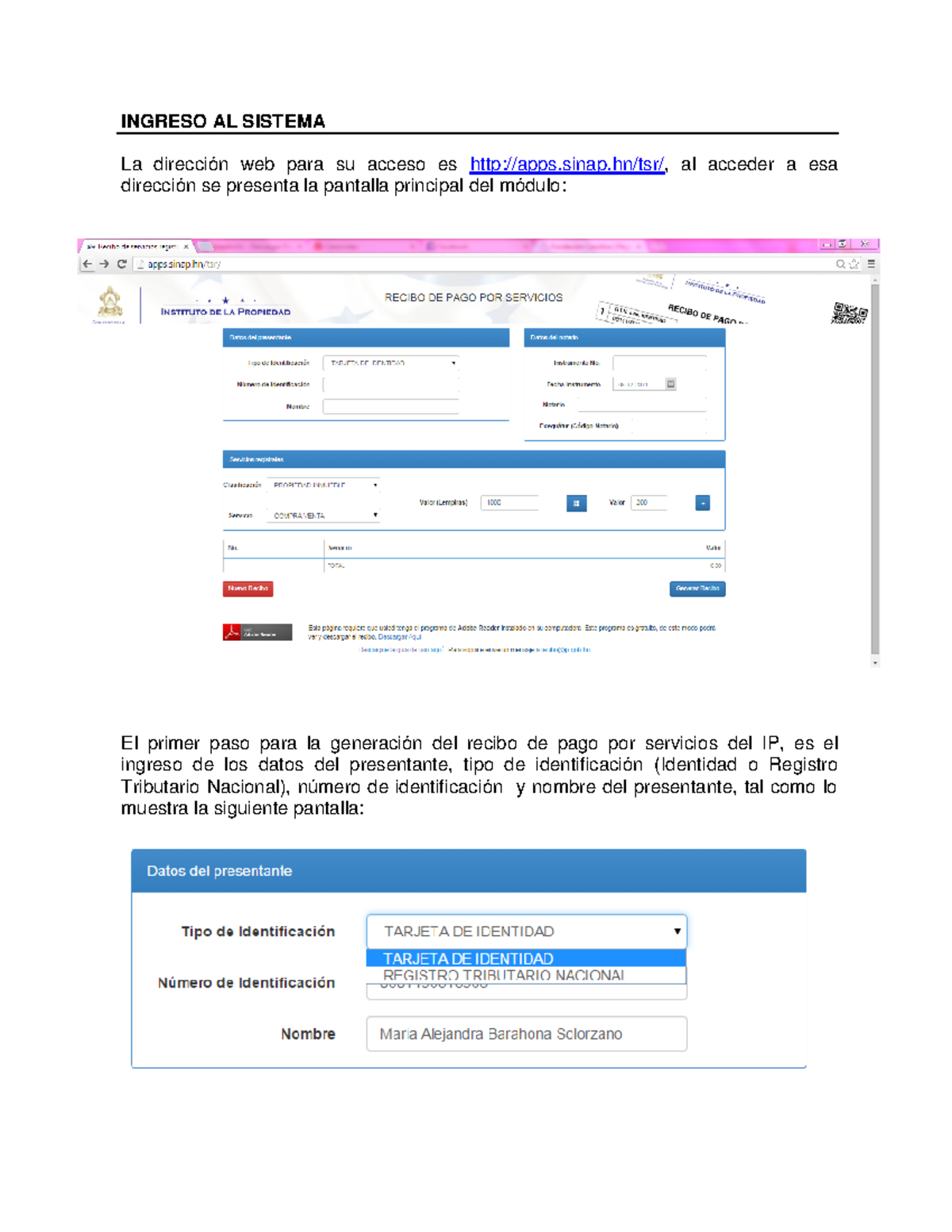 Guía para Generar Recibo de Pago por Servicios IP - Studocu