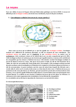 2 Le noyau - Cours de biologie cellulaire pour les L1 - Biologie ...