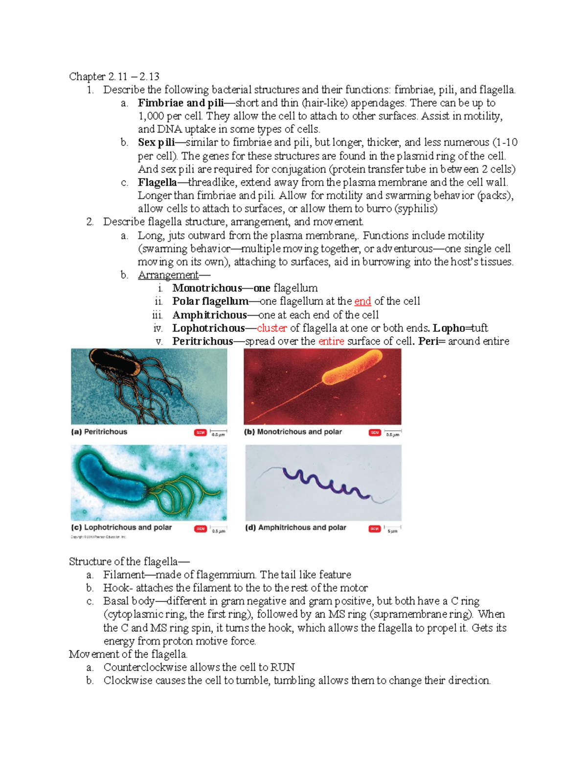 Micro Exam 2 review - Study guide - Chapter 2 – 2. 1. Describe the ...