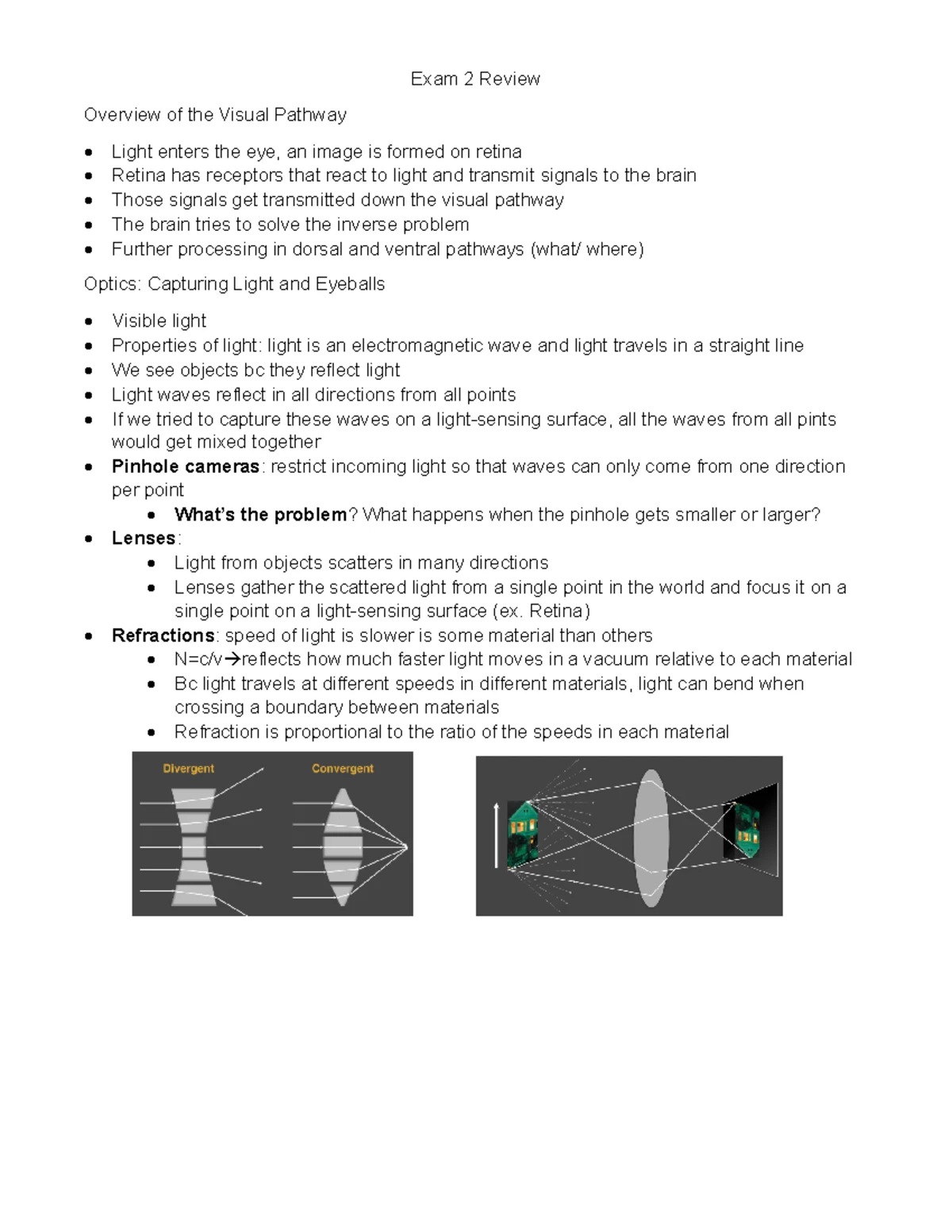 Lecture Notes on Visual System II: Processing and Object Recognition ...