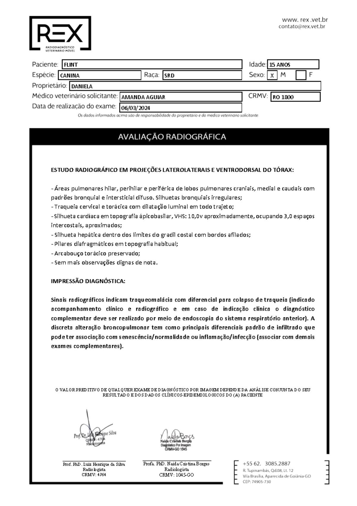 Modelo de Laudo Raio X - Estudo Radiográfico em Paciente Canino - Studocu