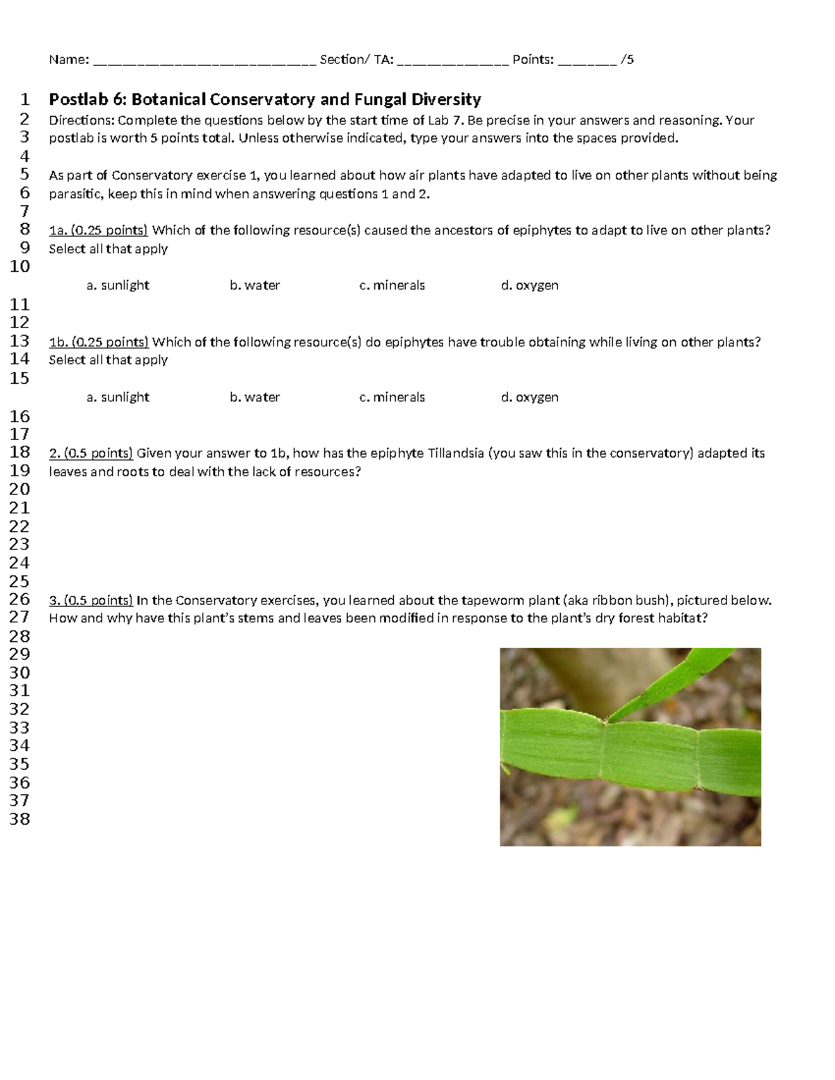 Post-lab 6 W25 - Botanical Conservatory & Fungal Diversity Questions ...