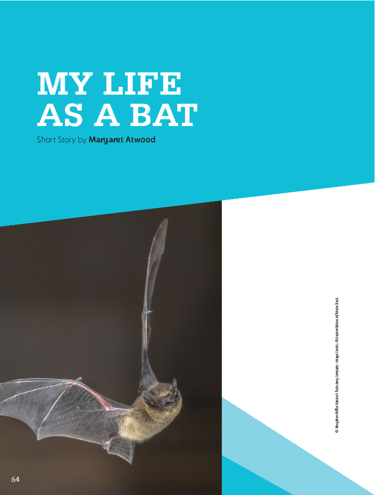 HMH English Literature: My Life as a Bat Short Story Analysis - Studocu