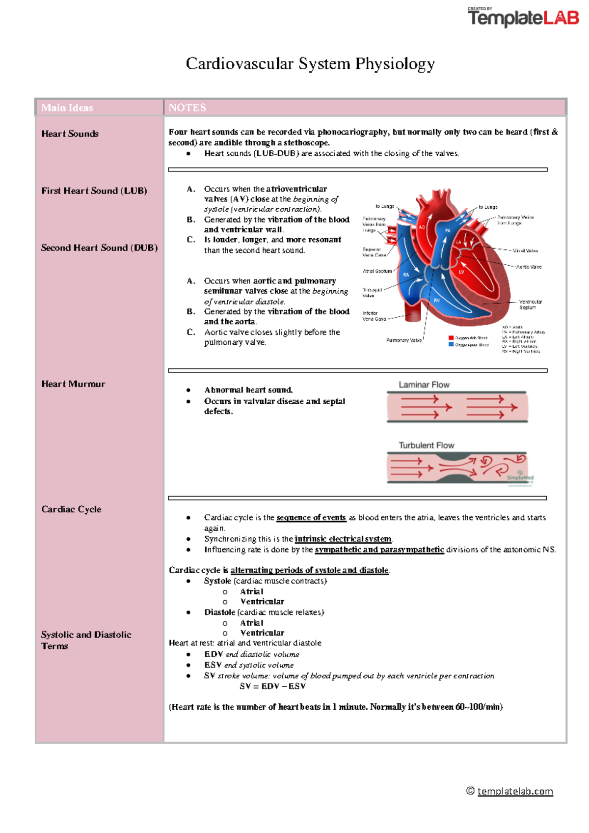 CVS 8 - Lecture Notes on Heart Sounds & Cardiac Cycle - Studocu