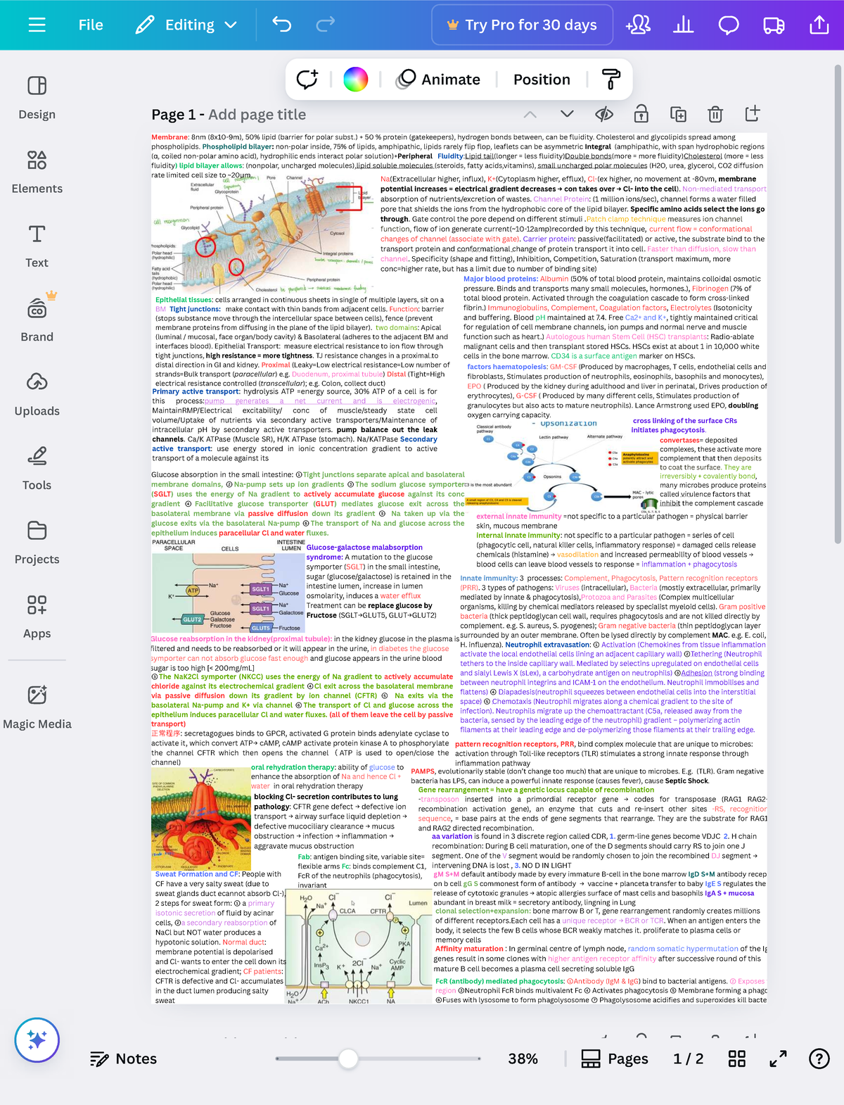Membrane Structure and Function: Key Concepts in Cell Biology (BIO101 ...