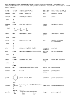 Comprehensive Guide to Cell Structure and Transport Mechanics ...