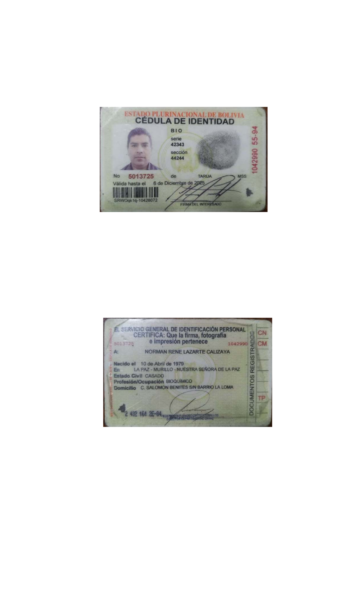 CARTA DE IDENTIDAD BIO - ESTADO PLURINACIONAL DE BOLIVIA - Studocu