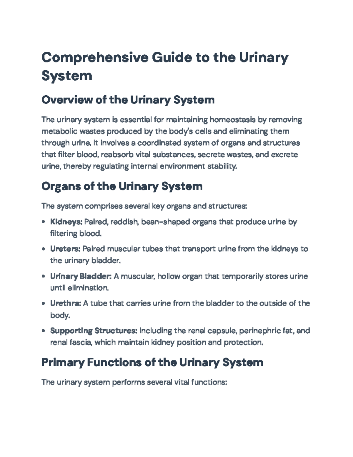 Comprehensive Overview of the Urinary System: Anatomy & Function - Studocu