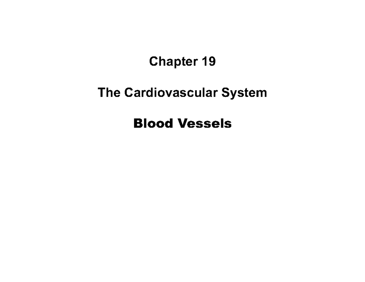 Anatomy & Physiology of Blood Vessels - Chapter 19 Notes (Fall 2025 ...