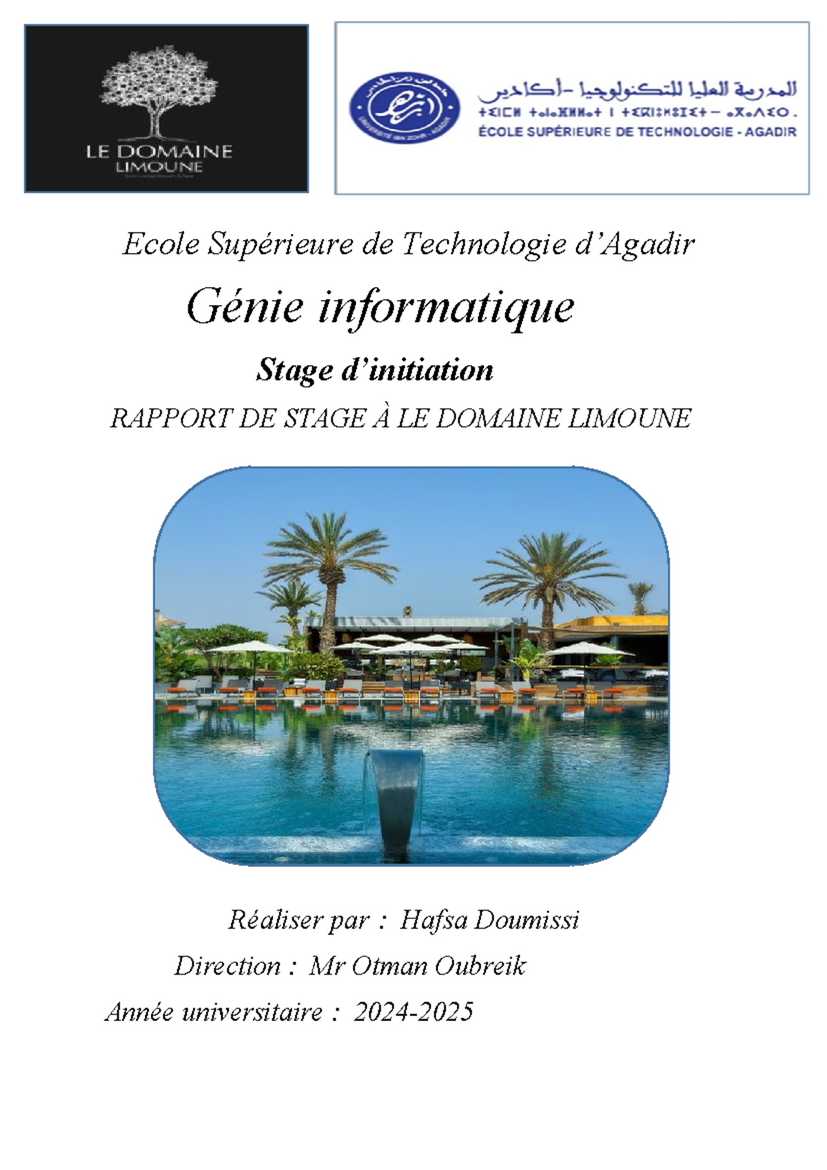 Rapport De Stage En G nie Informatique ESTA 2024 Domaine Limoune 