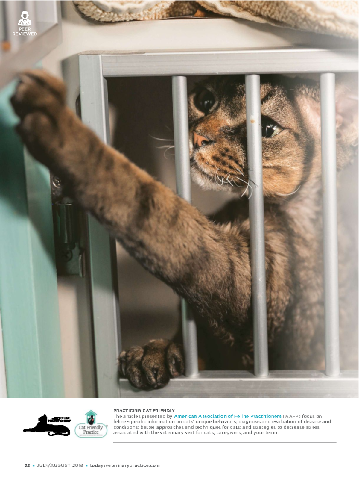 TVP-2018-0708 Understanding The Cat - PEER REVIEWEDREVIEWED PEER ...