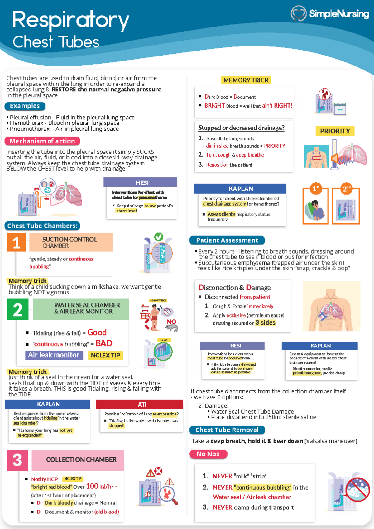 Chest Tubes: Essential Nursing Guide for Respiratory Care (NURS 101 ...
