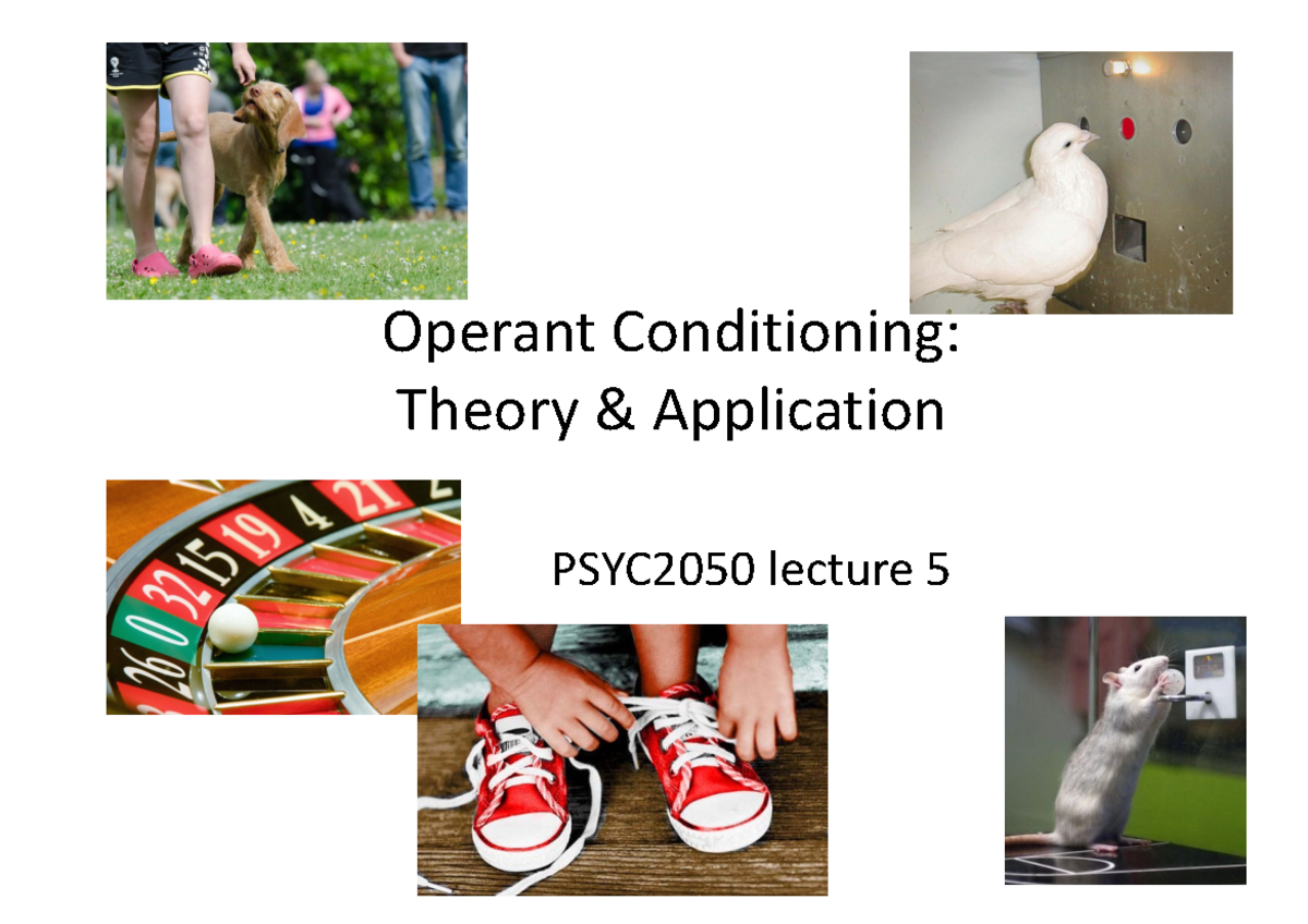 PSYC2050 Lecture 5: Operant Conditioning Theory and Applications ...