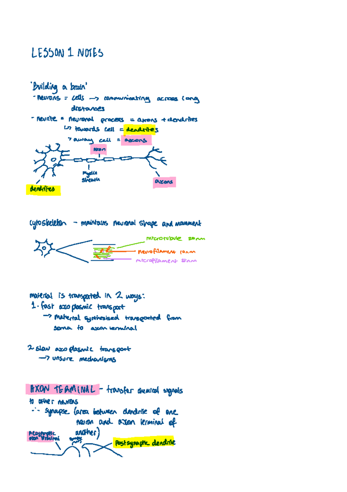 Lesson 1 - BMS1052 - Studocu