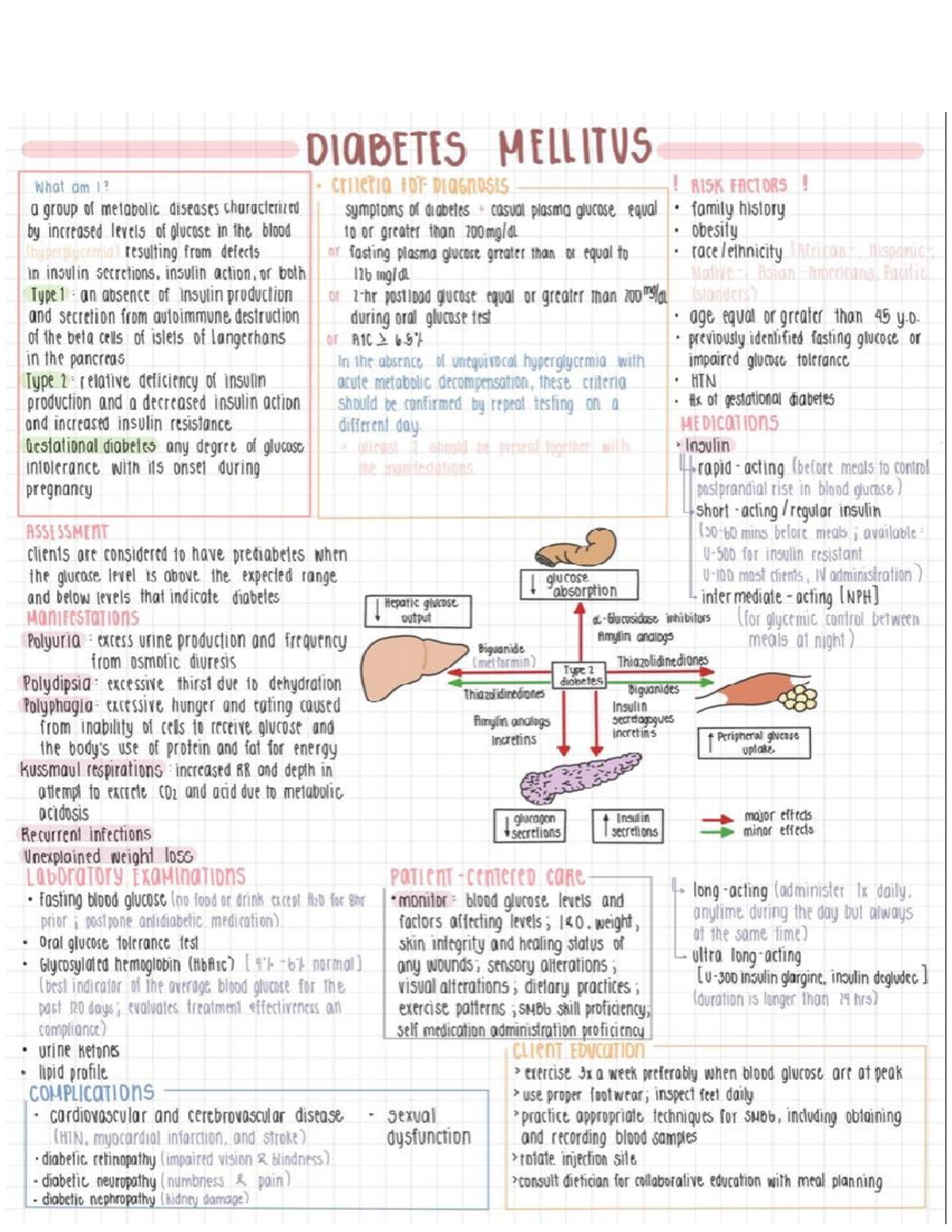 Diabetes Mellitus - Human anatomy notes first year - DIABETES MELLITUS ...