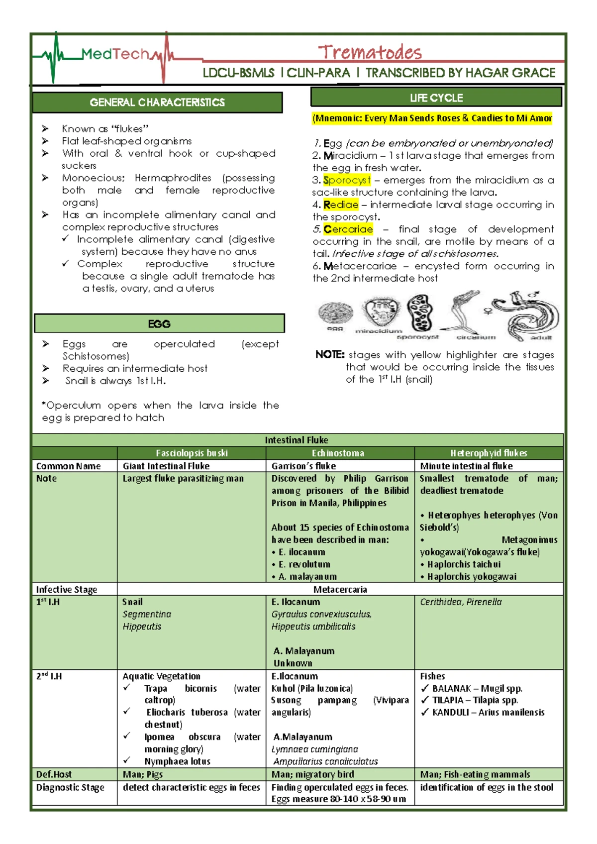 LDCU-BSMLS l CLIN-PARA l Trematodes and Protozoa Overview Notes - Studocu