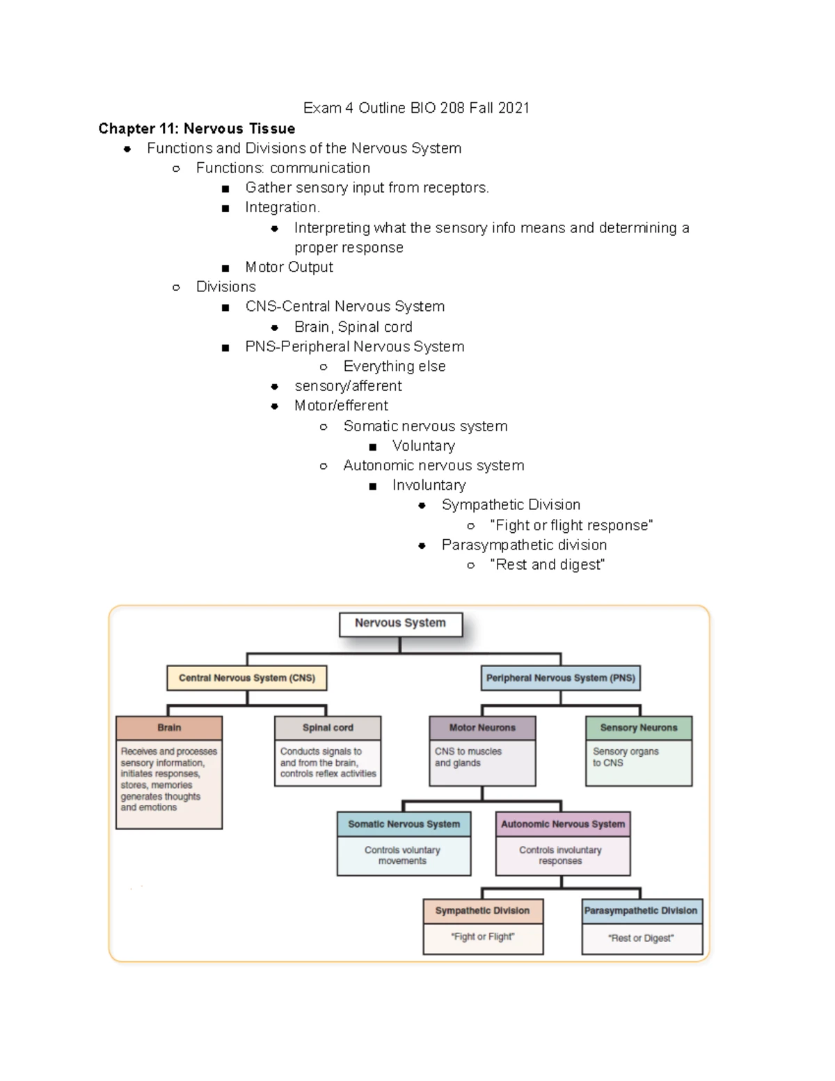 BIO 208: Essential Terms and Concepts for Exam 1 Review - Studocu
