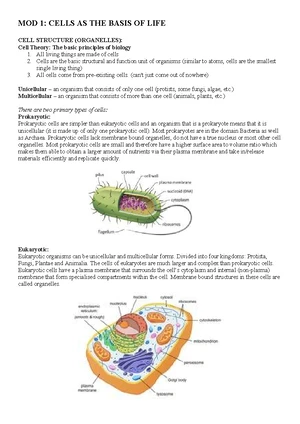 BIO 101: Cell Structure and Function Notes - Cell Theory & Organelles ...