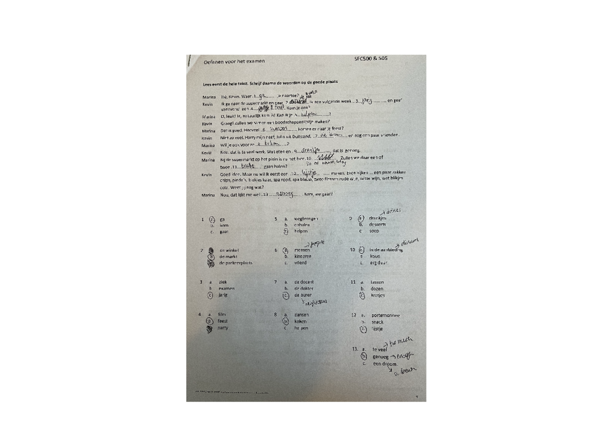 SFC500 505 Dutch for Beginners I Practice Questions and Exercises ...
