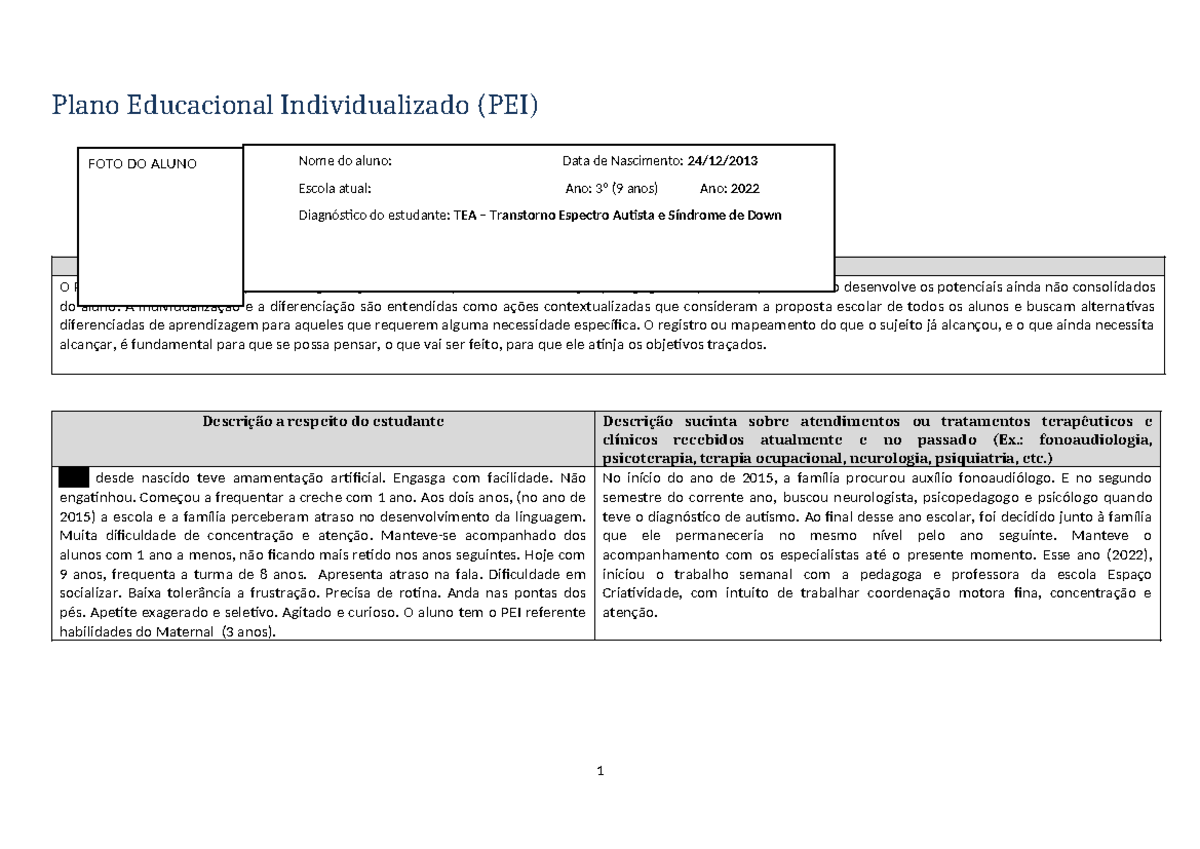 PEI Plano de Ensino Individualizado Modelo - A importância do PEI ...