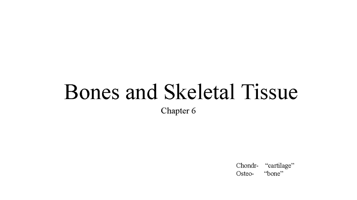 Chapter 6: Bones and Skeletal Tissue Overview - Studocu