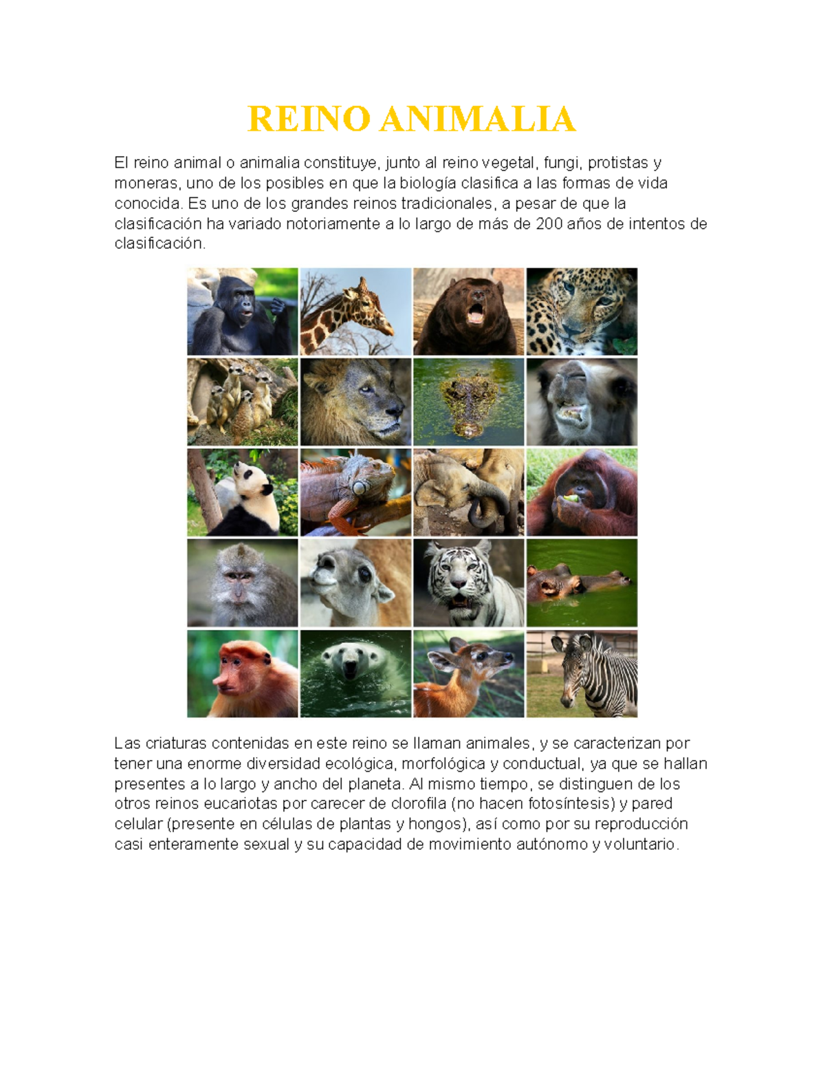 Reino Monera: Apuntes de Biología y Clasificación Biótica - Studocu