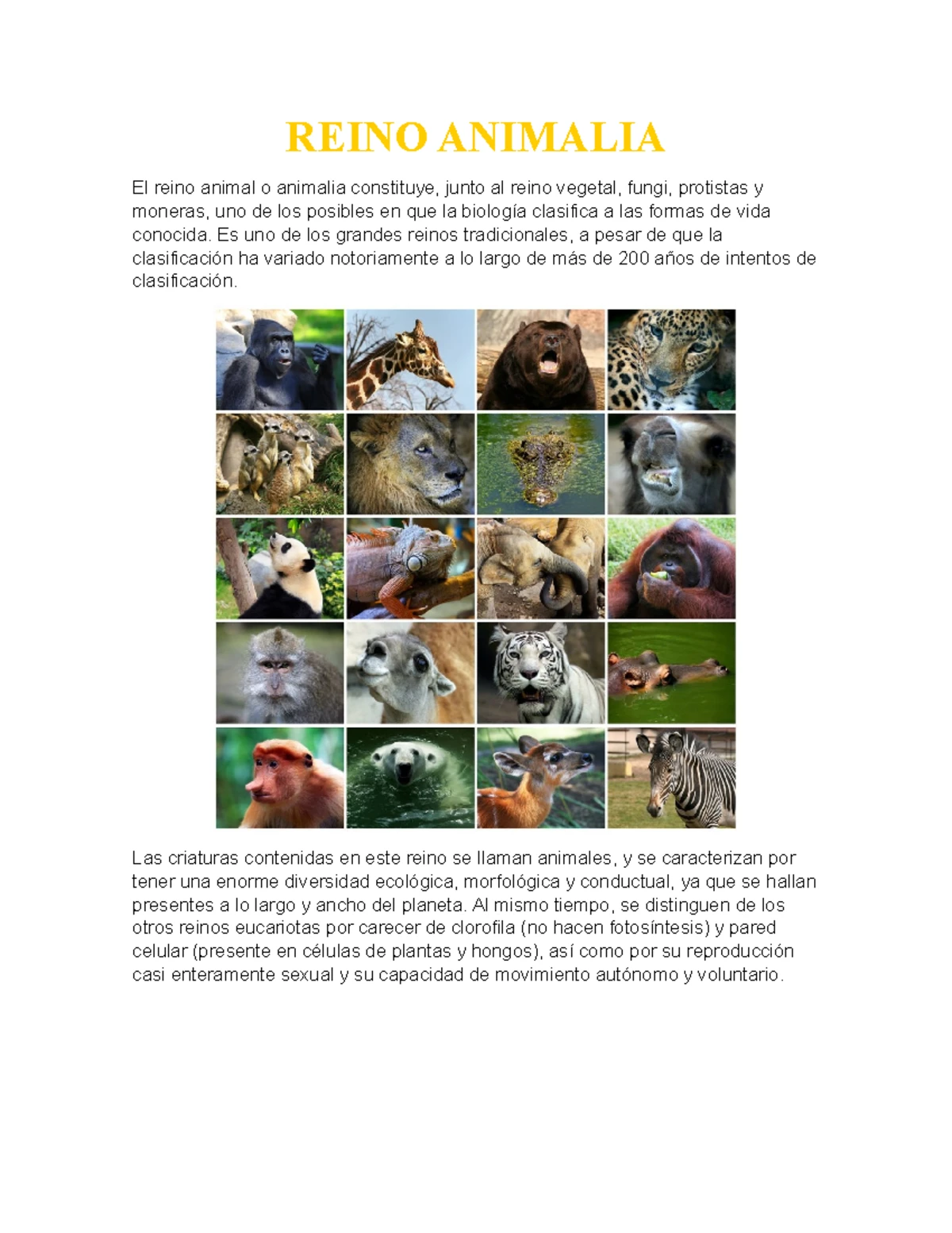 Reino Monera: Apuntes de Biología y Clasificación Biótica - Studocu